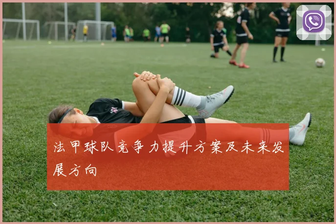法甲球队竞争力提升方案及未来发展方向