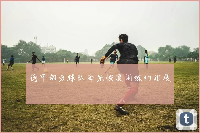 德甲部分球队率先恢复训练的进展