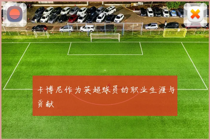 卡博尼作为英超球员的职业生涯与贡献