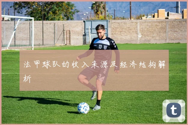 法甲球队的收入来源及经济结构解析