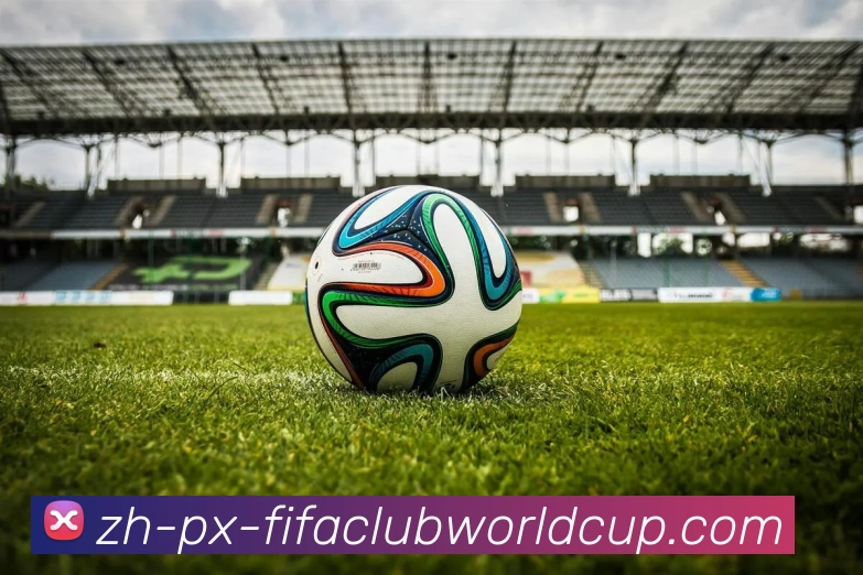 世界杯赛程服务体系